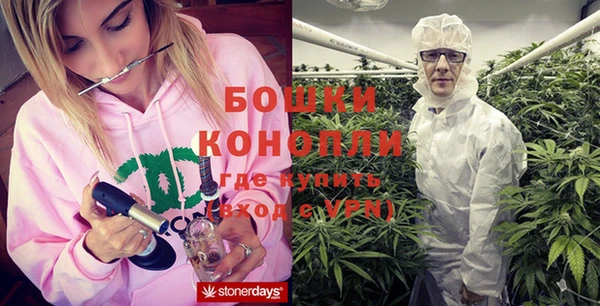 ешки Бородино