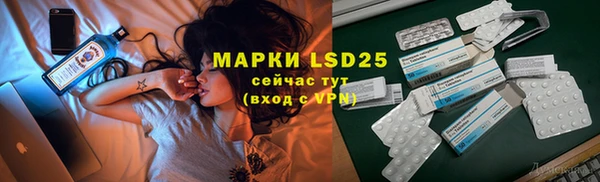 ешки Бородино