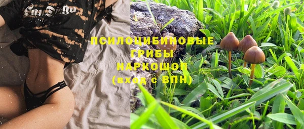 spice Бугульма