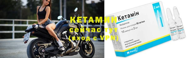 ешки Бородино