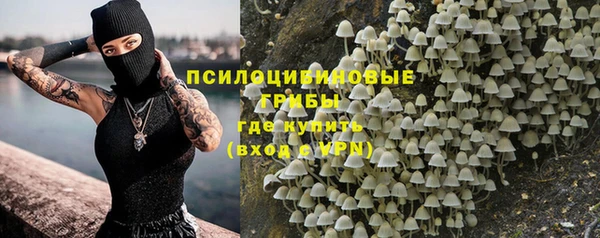 spice Бугульма