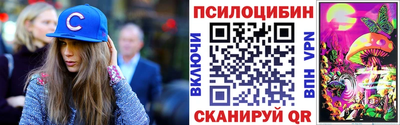 сколько стоит  Псков  Галлюциногенные грибы MAGIC MUSHROOMS 